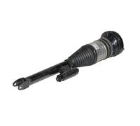 Mercedes-Benz Amortiguador delantero izquierdo A2963204700-AA