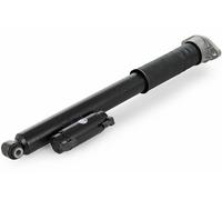 Mercedes-Benz Amortiguador H trasero izquierdo A2053204330-AA