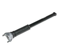 Mercedes-Benz Amortiguadores H A2473206804-ZA