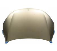 Mercedes-Benz capó A2978800000 Y9-ZA-0000