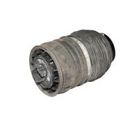 Mercedes-Benz Fuelle neumático, detrás, derecha A2543207402-AA