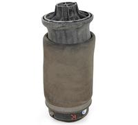 Mercedes-Benz Fuelles neumáticos del eje trasero, izquierda y derecha A1663200325-AA