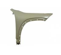 Mercedes-Benz Guardabarros delantero derecho A2438810200-ZA-9999