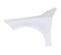 Mercedes-Benz Guardabarros delantero izquierdo A1778810700-AA-0000