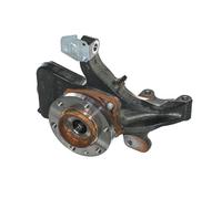 Mercedes-Benz Mangueta delantera izquierda A9073320900-AA