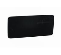 Mercedes-Benz Monitor del display central A2059000441-AA