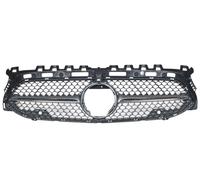 Mercedes-Benz Parrilla del radiador gris mate PTS/SRV | A | K1-A A2478805907 K1-AA