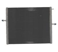 Mercedes-Benz Radiador de baja temperatura A1675000300-AA