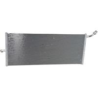 Mercedes-Benz Radiador del radiador de baja temperatura A1725000003-AA