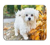MERCHANDMANIA Alfombrilla PEQUEÑA Perro Raza Bichon MALTES Mousepad Raton