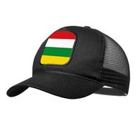 MERCHANDMANIA Gorra Negra con Rejilla Bandera de la Rioja españa Comunidad autonoma Moda Deporte