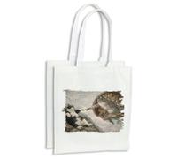 MERCHANDMANIA Pack 2 bolsas cuadro arte el creador gatos meme parodia risa cocina compra kitchen