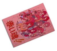 Merchandmanía Puzzle tamaño Aprox. A4 de 24 Piezas Chicas Anime Fairy Tail rias DXD Ranma Steins Gate Rompecabezas puzle para Adulto