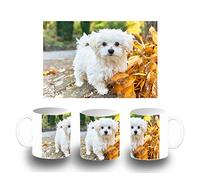 MERCHANDMANIA TAZA BLANCA PERRO RAZA BICHON MALTES color mug