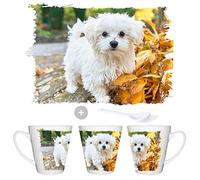 MERCHANDMANIA TAZA CONICA PERRO RAZA BICHON MALTES conic mug