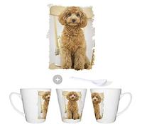MERCHANDMANIA TAZA CONICA PERRO RAZA POODLE conic mug