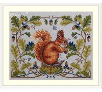 Merejka - Kit de punto de cruz, diseño de ardilla