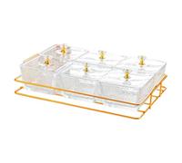 MERIGLARE Juego de Bandejas para Servir Divididas con Tapa, Multifuncionales, para Aperitivos, Dulces Y Secos, Resistente Caja de Almacenamiento de, Transparente, Individual