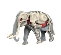 MERIGLARE Juguete Educativo con Forma de Cuerpo Animal, Rompecabezas Didáctico, Muñeco con órganos Extraíbles, Herramienta de Estudio, Hecho de PP, Adecuado Par, 3109