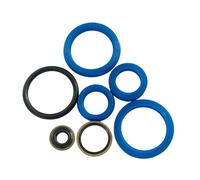 MERIGLARE Junta Tórica de Sellado de Aceite para Cilindro Hidráulico de Montacargas, Repuesto Y Mejora para Transpaleta Manual Y Montacargas de Transporte, 2T