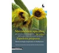 Meristemos Apicales Una Técnica De Propagación In Vitro Útil En Proces