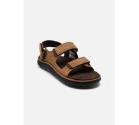 Merrell COVE LTR BACKSTRAP 45 Marrón