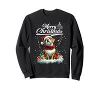 Merry Christmas Boxer Santa Hat Dog Lovers Xmas Sudadera