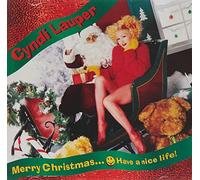 Merry Christmas...Have a Nice