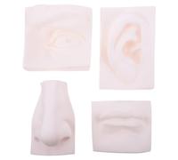 MERRYHAPY Modelo de Órgano Sensorial Decorativo de Plástico Suave Blanco para Dibujo y Pintura Superficie Lisa Adecuado para Pintura y Decoración