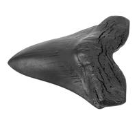MERRYHAPY Réplica de Diente de megalodón en Resina Negra, Adorno para colección y Oficina, Pieza Decorativa Detallada para Aficionados a la paleontología