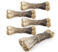 MERSJO 5xITS Time to Shine Bone - Bocadillo masticable para Perros con salmón, biotina y Algas, 13,5 cm, 5 x 70 g, Hueso masticable Natural para un Pelaje Brillante y una Piel Sana, 100% Natural