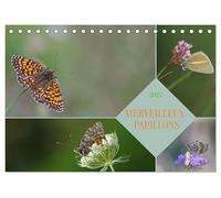 Merveilleux Papillons (Calendrier de Bureau 2027 DIN A5 vertical), CALVENDO Calendrier Mensuel