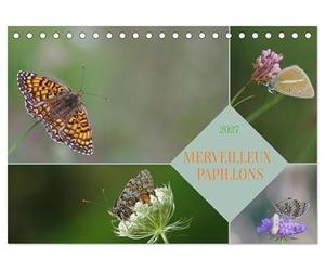 Merveilleux Papillons (Calendrier de Bureau 2027 DIN A5 vertical), CALVENDO Calendrier Mensuel