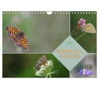Merveilleux Papillons (Calendrier mural 2026 DIN A4 horizontal), CALVENDO Calendrier Mensuel