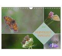 Merveilleux papillons (Calendrier mural 2027 DIN A4 vertical), CALVENDO calendri