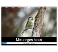 Mes anges bleus en Île-de-France (Calendrier mural 2026 DIN A3 vertical), CALVENDO calendrier mensuel: La mésange bleue dans des postures improbables