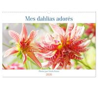 Mes dahlias adorés (Calendrier mural 2026 DIN A3 vertical), CALVENDO calendrier mensuel: La reine de la fin de l'été dans le jardin des dahlias