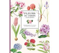 Mes fleurs du jardin: A colorier