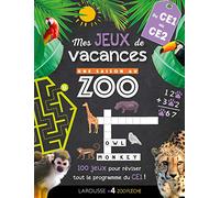 Mes jeux de vacances du CE1 au CE2: 100 jeux pour réviser !