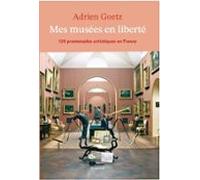 Mes Musées En Liberté (ebook)