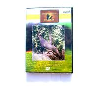 Mes plus belles chasses - La chasse aux chamois et aux bouquetins vol 6 - Neuf