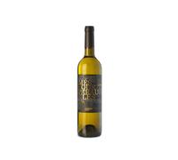 Més que Paraules Blanc 2023