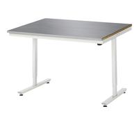 Mesa de Trabajo eléctrica Regulable en Altura, 1250 x 1000 x 720 - 1120 mm, Placa ES-28 mm