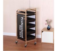 Mesa de trabajo móvil, Carrito de peluquería con ruedas de 5 niveles, carrito de peluquería de acero, carrito con soporte for secador de pelo y ruedas, carrito de almacenamiento for peluquero(C)