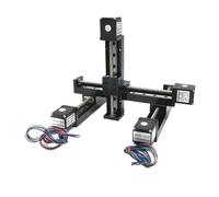 Mesa deslizante con ejes XY/XYZ T06, minikit de motor de riel lineal con husillo trapezoidal, plataforma de guía de riel lineal de pórtico motorizado(Y Axis 250mm Stroke,XY 300mm-2 Pitch)