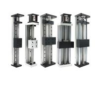 Mesa Deslizante de tornillo de bola de carga de 40-250kg, plataforma de guía lineal Mini/pesada SFU1605/1610, etapa lineal motorizada de aluminio de alta resistencia(DXG60-42,500mm Stroke SFU1610)