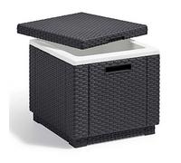 Mesa Portahielo KETER Ice Cube ALLIBERT 42X41X41 cm 40 LT