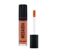 MESAUDA BEAUTY Pro Light Concealer 4 ml P01