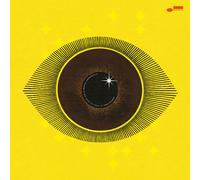 Meshell Ndegeocello No More Water: The Gospel of James Baldwin (Vinyl) 12" Album