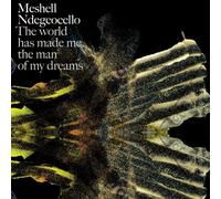 Me'shell Ndegeocello - The World Has Made Me...